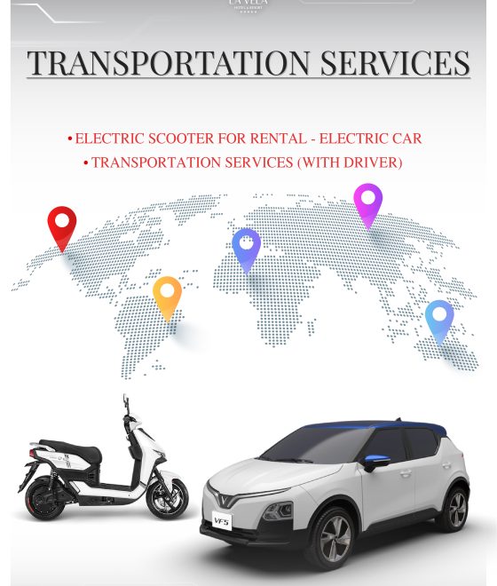 Electric car rental service